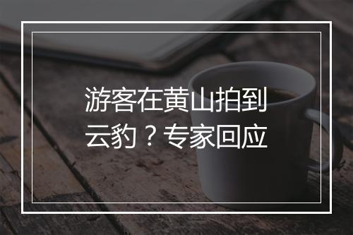 游客在黄山拍到云豹？专家回应