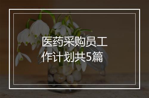 医药采购员工作计划共5篇