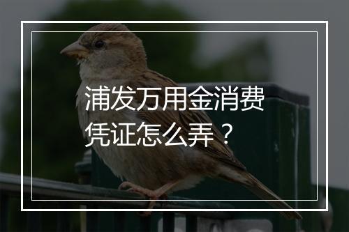 浦发万用金消费凭证怎么弄？