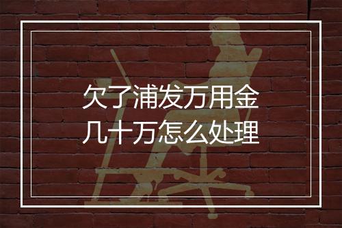 欠了浦发万用金几十万怎么处理