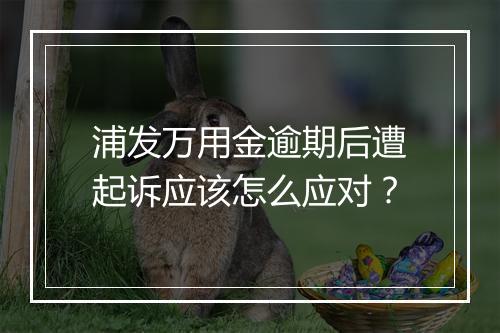 浦发万用金逾期后遭起诉应该怎么应对？