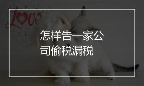 怎样告一家公司偷税漏税