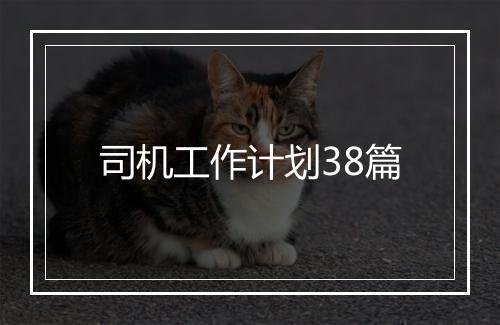 司机工作计划38篇