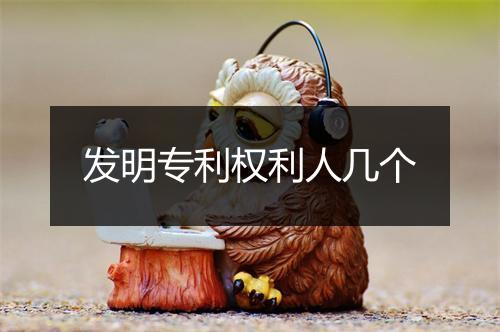 发明专利权利人几个
