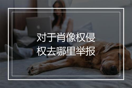 对于肖像权侵权去哪里举报