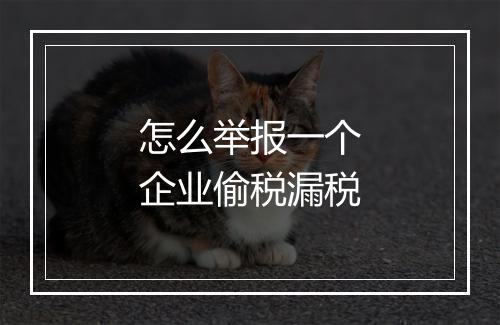 怎么举报一个企业偷税漏税