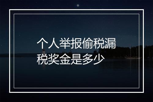 个人举报偷税漏税奖金是多少
