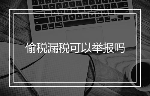 偷税漏税可以举报吗