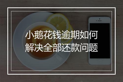 小鹅花钱逾期如何解决全部还款问题