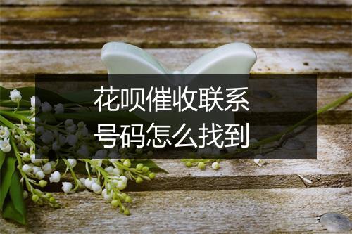 花呗催收联系 号码怎么找到
