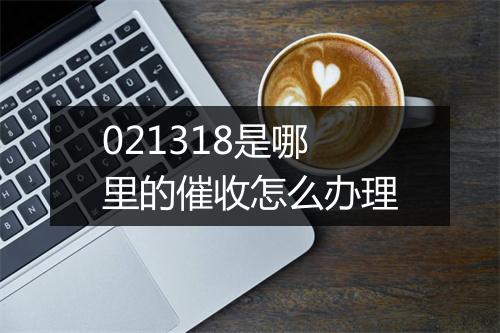021318是哪里的催收怎么办理