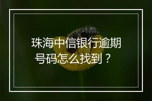珠海中信银行逾期 号码怎么找到？