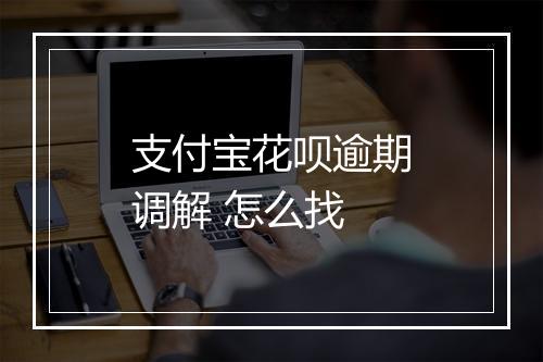支付宝花呗逾期调解 怎么找