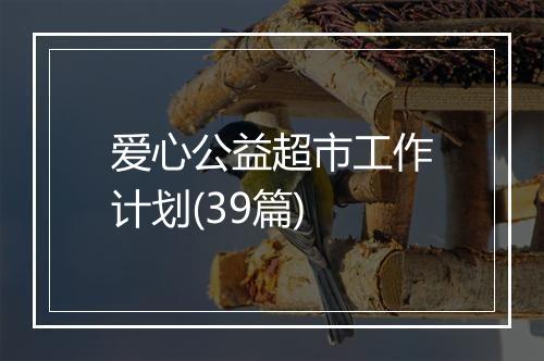 爱心公益超市工作计划(39篇)