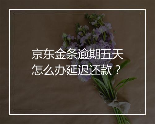 京东金条逾期五天怎么办延迟还款？
