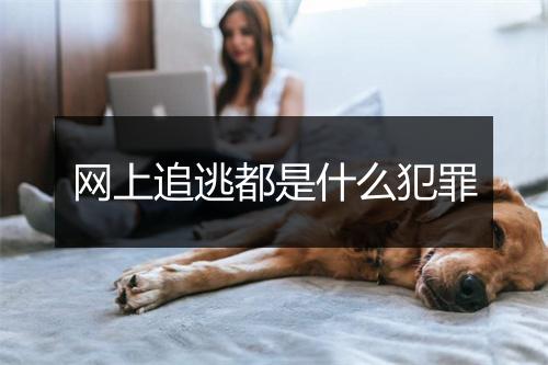 网上追逃都是什么犯罪