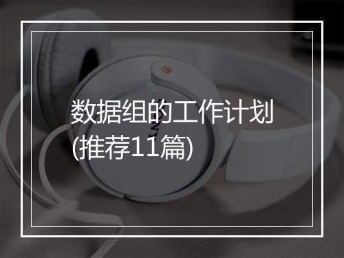 数据组的工作计划(推荐11篇)