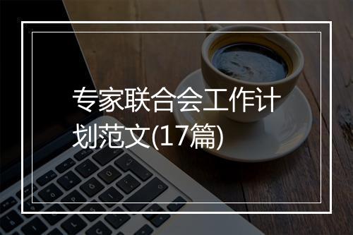 专家联合会工作计划范文(17篇)