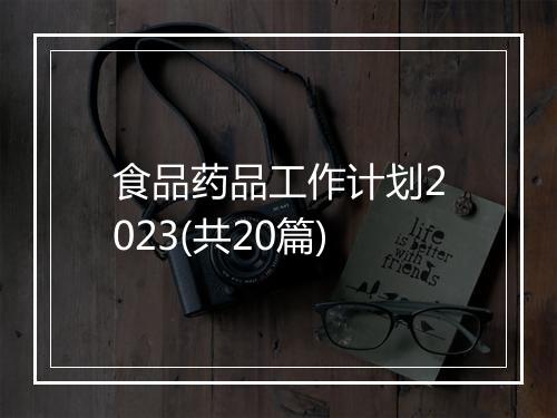 食品药品工作计划2023(共20篇)