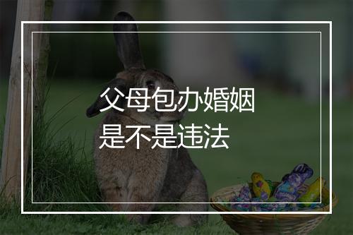 父母包办婚姻是不是违法