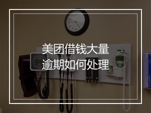 美团借钱大量逾期如何处理
