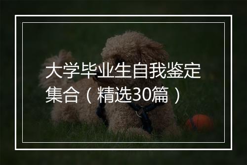 大学毕业生自我鉴定集合（精选30篇）