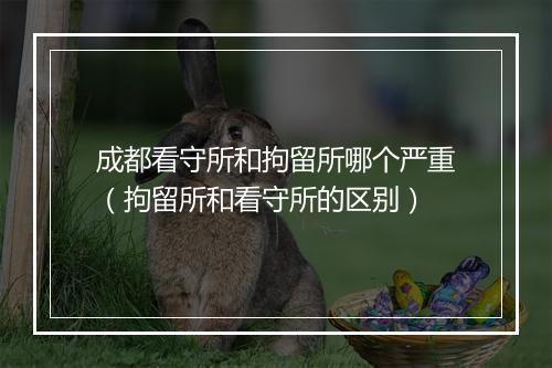 成都看守所和拘留所哪个严重（拘留所和看守所的区别）