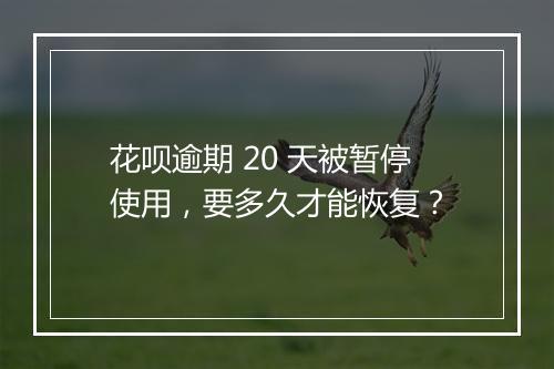 花呗逾期 20 天被暂停使用，要多久才能恢复？