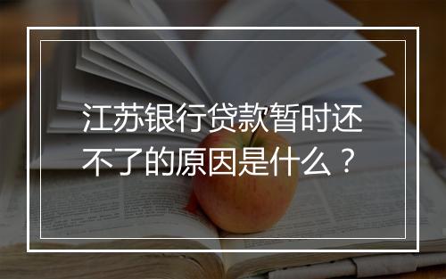 江苏银行贷款暂时还不了的原因是什么？