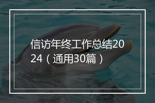 信访年终工作总结2024（通用30篇）