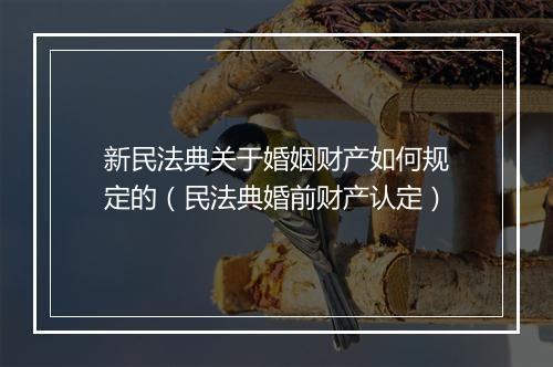 新民法典关于婚姻财产如何规定的（民法典婚前财产认定）