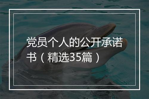 党员个人的公开承诺书（精选35篇）