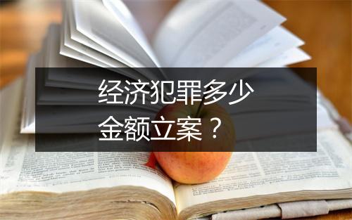 经济犯罪多少金额立案？