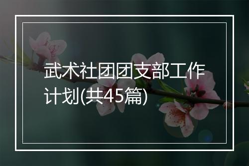 武术社团团支部工作计划(共45篇)