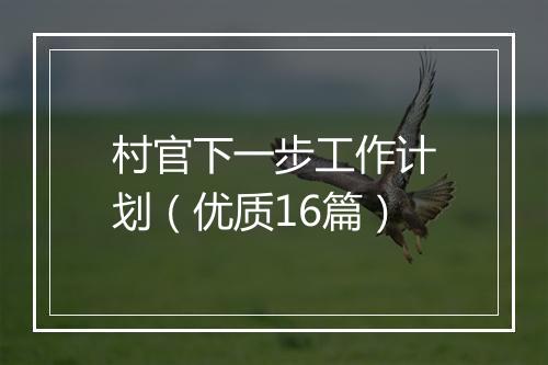 村官下一步工作计划（优质16篇）