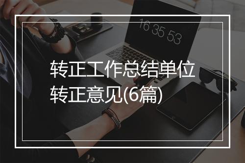 转正工作总结单位转正意见(6篇)