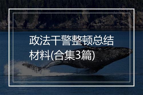 政法干警整顿总结材料(合集3篇)