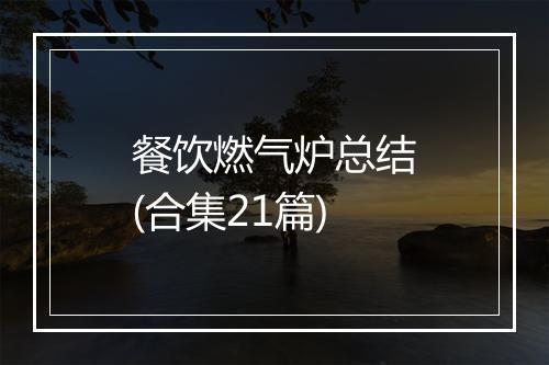 餐饮燃气炉总结(合集21篇)