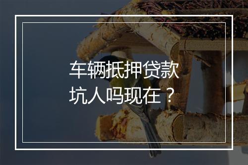 车辆抵押贷款坑人吗现在？