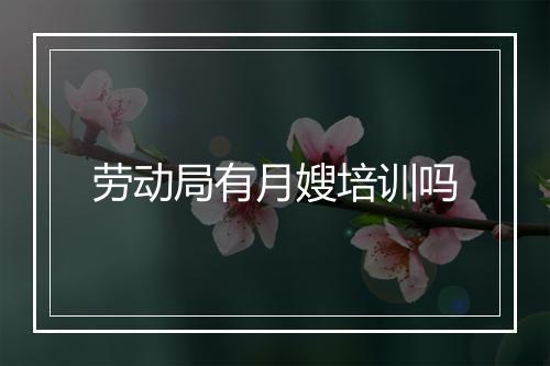劳动局有月嫂培训吗