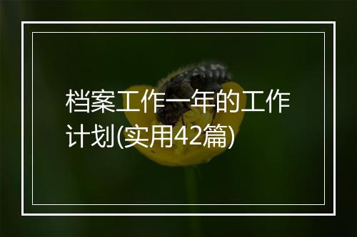 档案工作一年的工作计划(实用42篇)