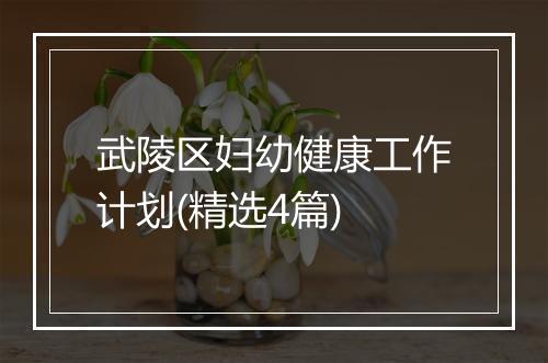 武陵区妇幼健康工作计划(精选4篇)
