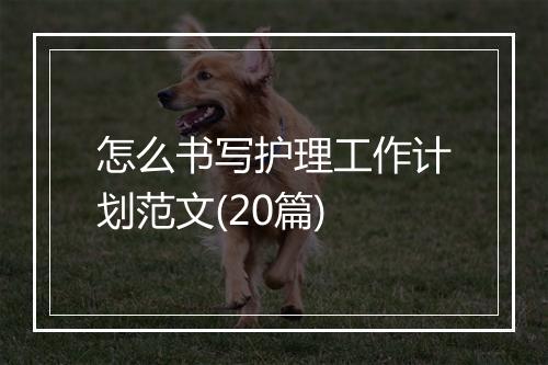 怎么书写护理工作计划范文(20篇)