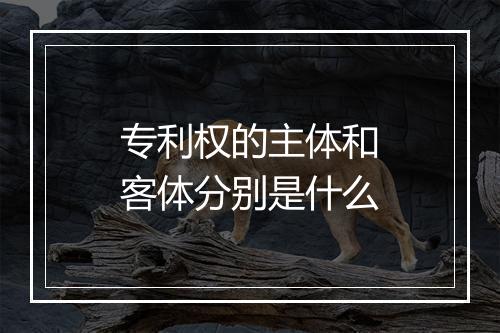 专利权的主体和客体分别是什么