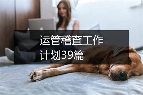 运管稽查工作计划39篇