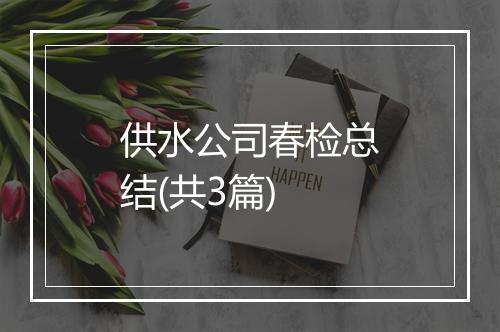 供水公司春检总结(共3篇)