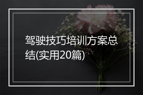 驾驶技巧培训方案总结(实用20篇)
