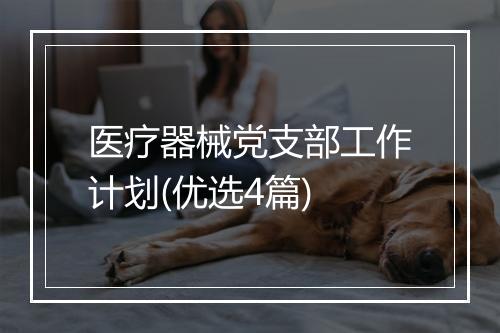医疗器械党支部工作计划(优选4篇)