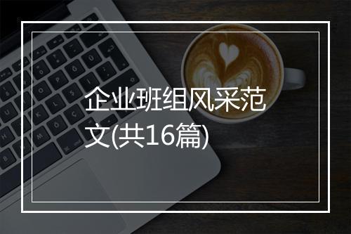 企业班组风采范文(共16篇)