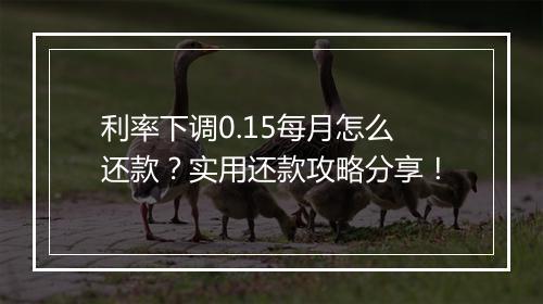 利率下调0.15每月怎么还款？实用还款攻略分享！